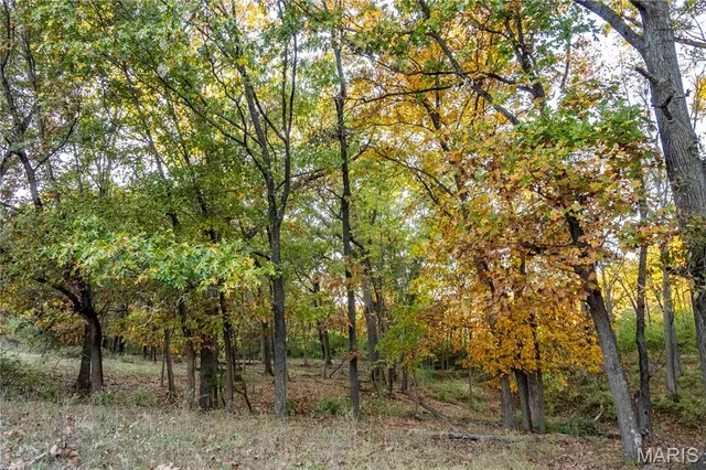 $1 | 27628 Hwy H, Eolia, MO 63344