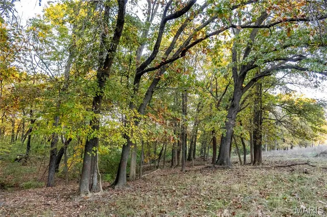 $1 | 27628 Hwy H, Eolia, MO 63344