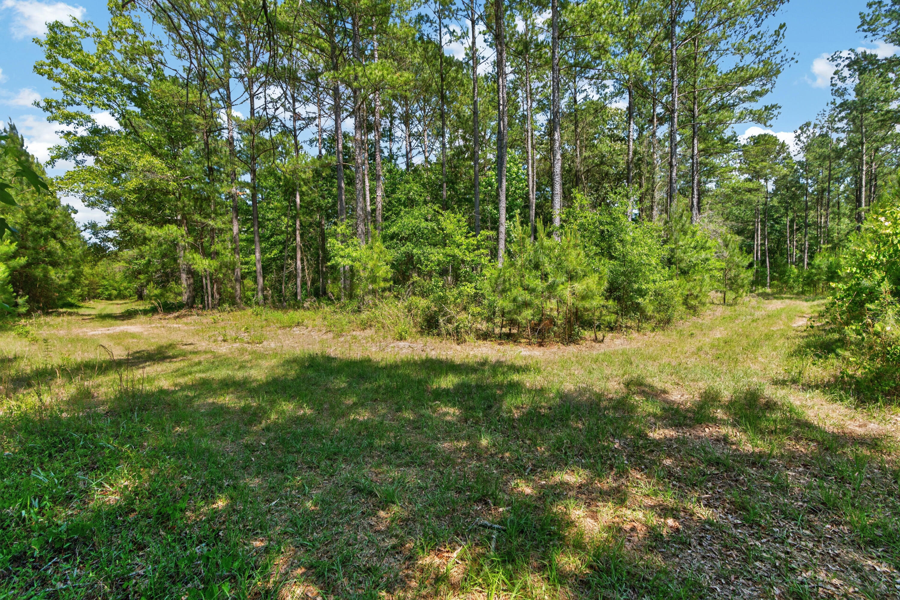 5120 North Brewington Road, Unit 10 Alcolu, SC 29001 - Photo 16 of 40 DSC09194