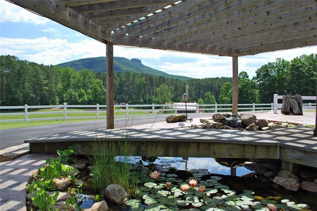 333 Pilot Church Road Pinnacle, NC 27043 - Photo 20 of 30