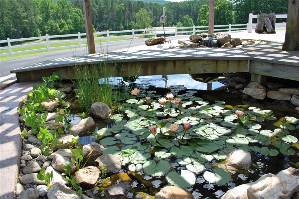 333 Pilot Church Road Pinnacle, NC 27043 - Photo 21 of 30
