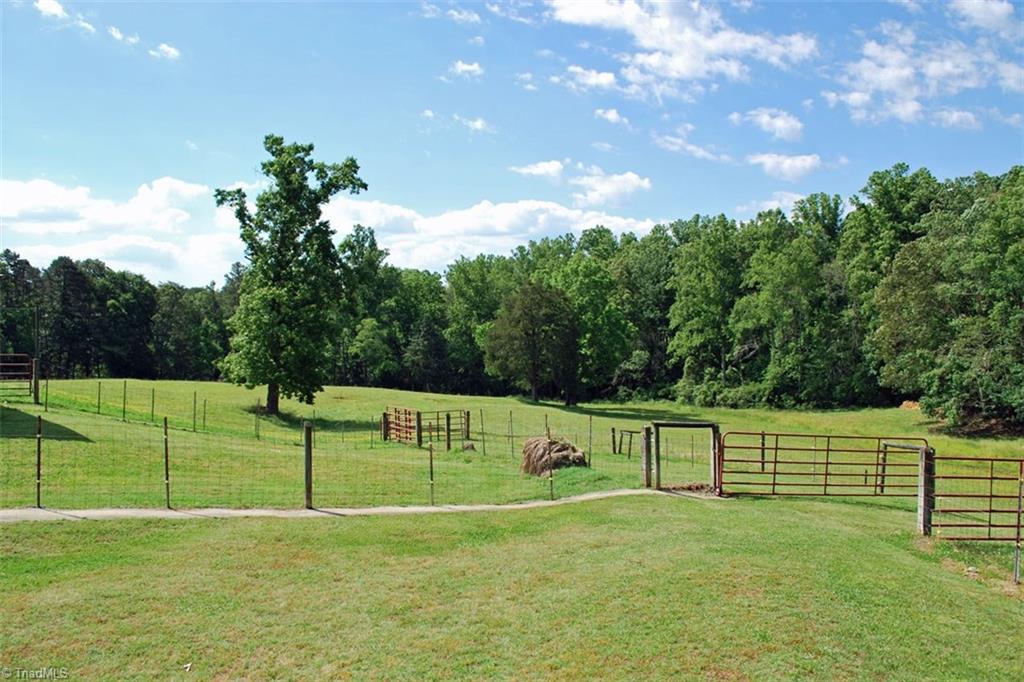 333 Pilot Church Road Pinnacle, NC 27043 - Photo 29 of 30