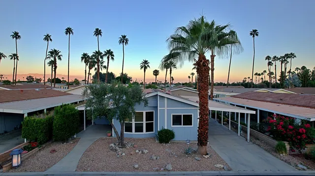 a house with palm tree in front of it