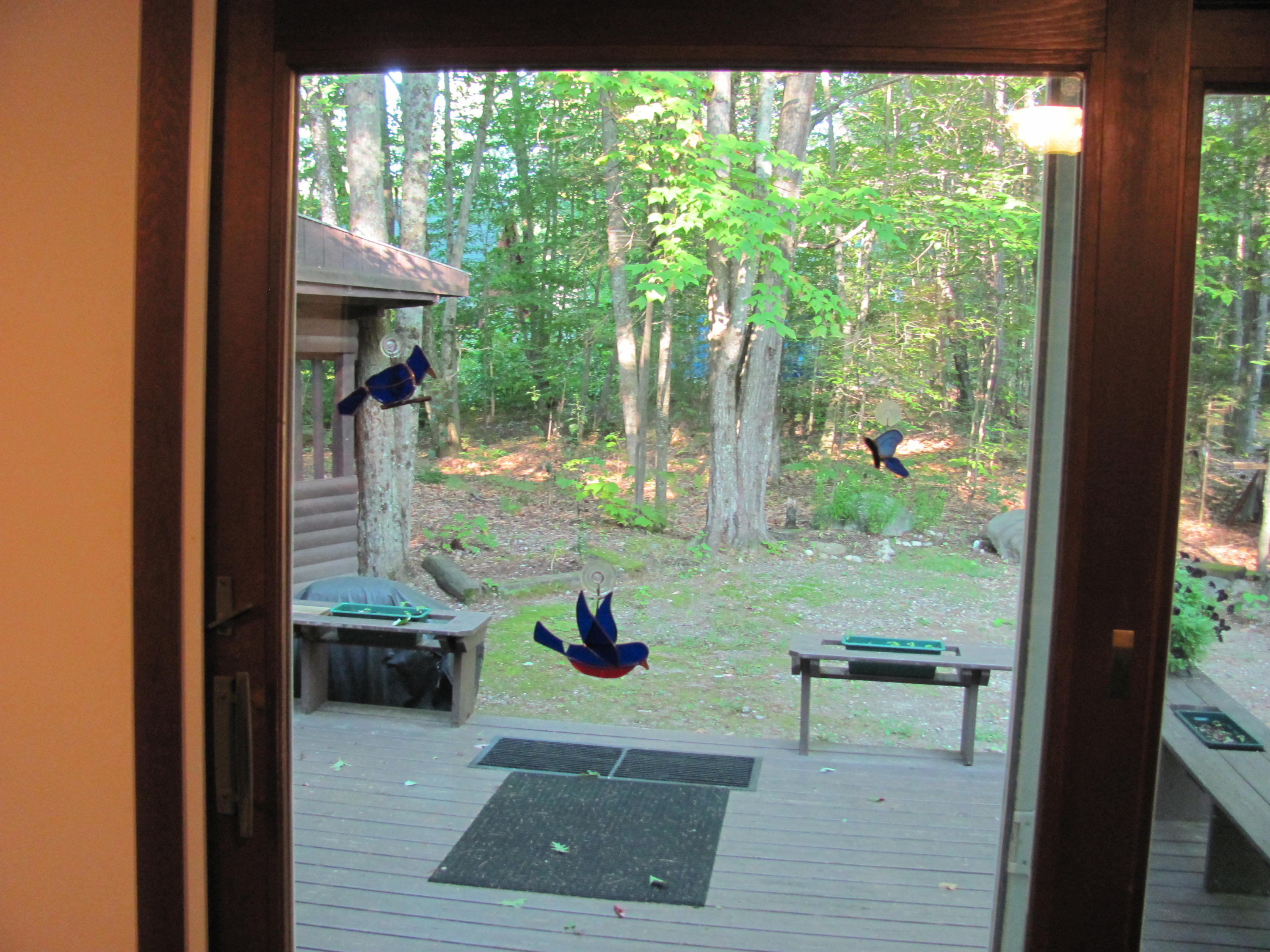 60 Birch Road Greenwood, ME 04255 - Photo 9 of 20 IMG_1187
