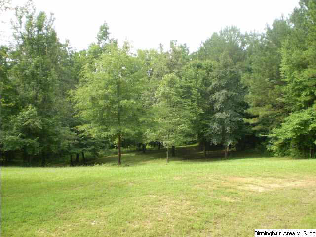 2758 Roulain Road, Unit 1 68 AC Odenville, AL 35120 - Photo 6 of 6