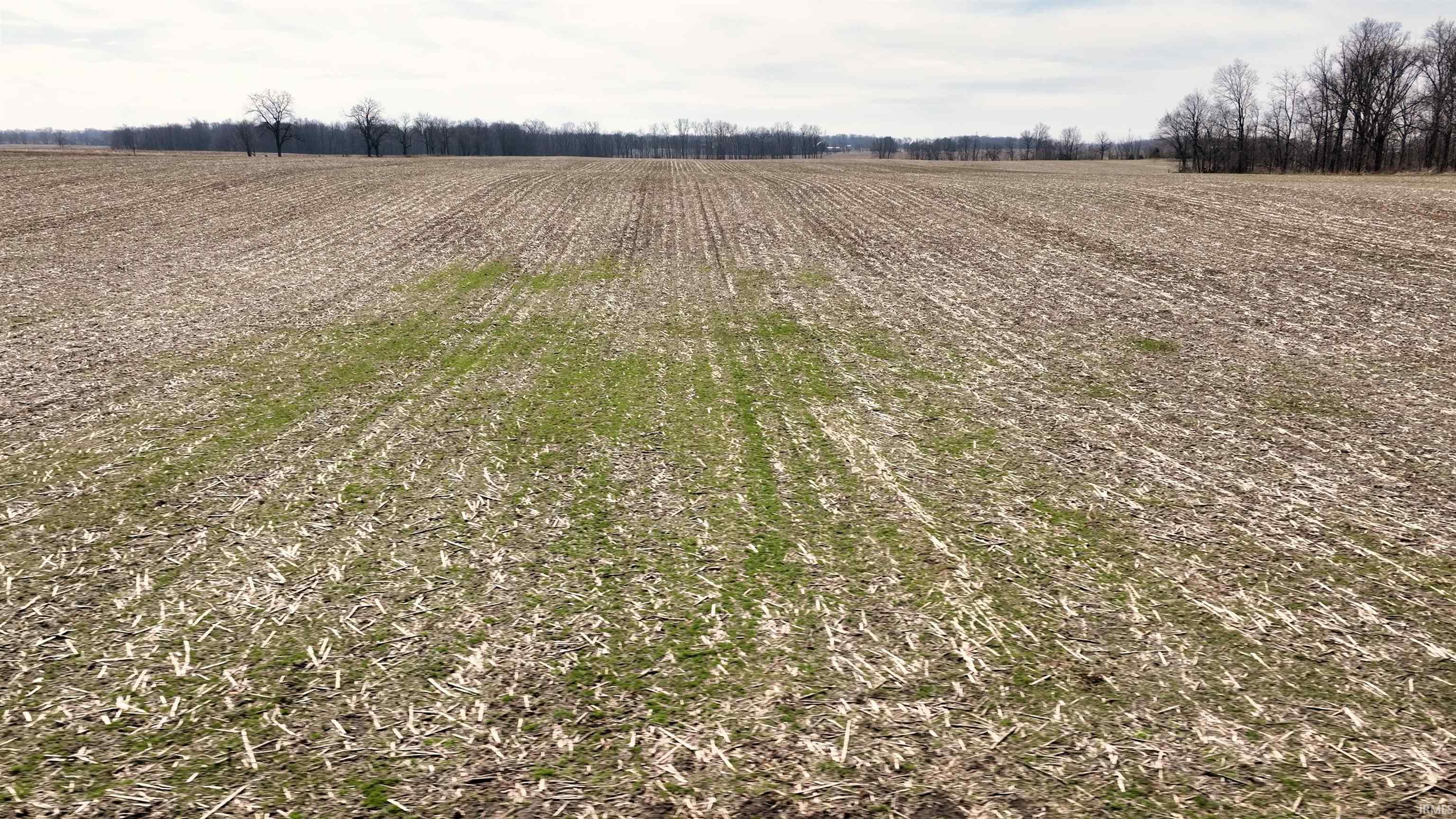 300 East S Road Columbia City, IN 46725 - Photo 19 of 22