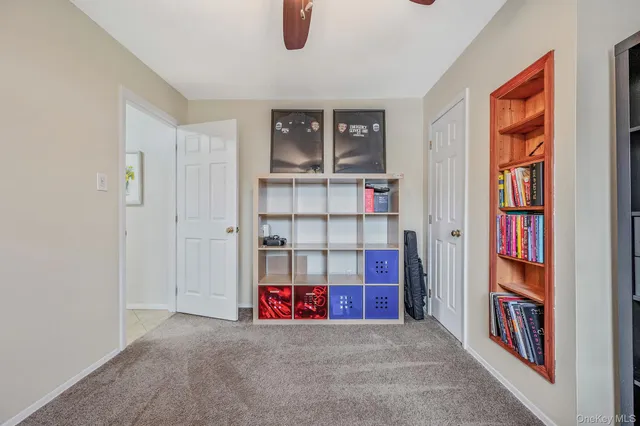 a view of shelves and closet in a room