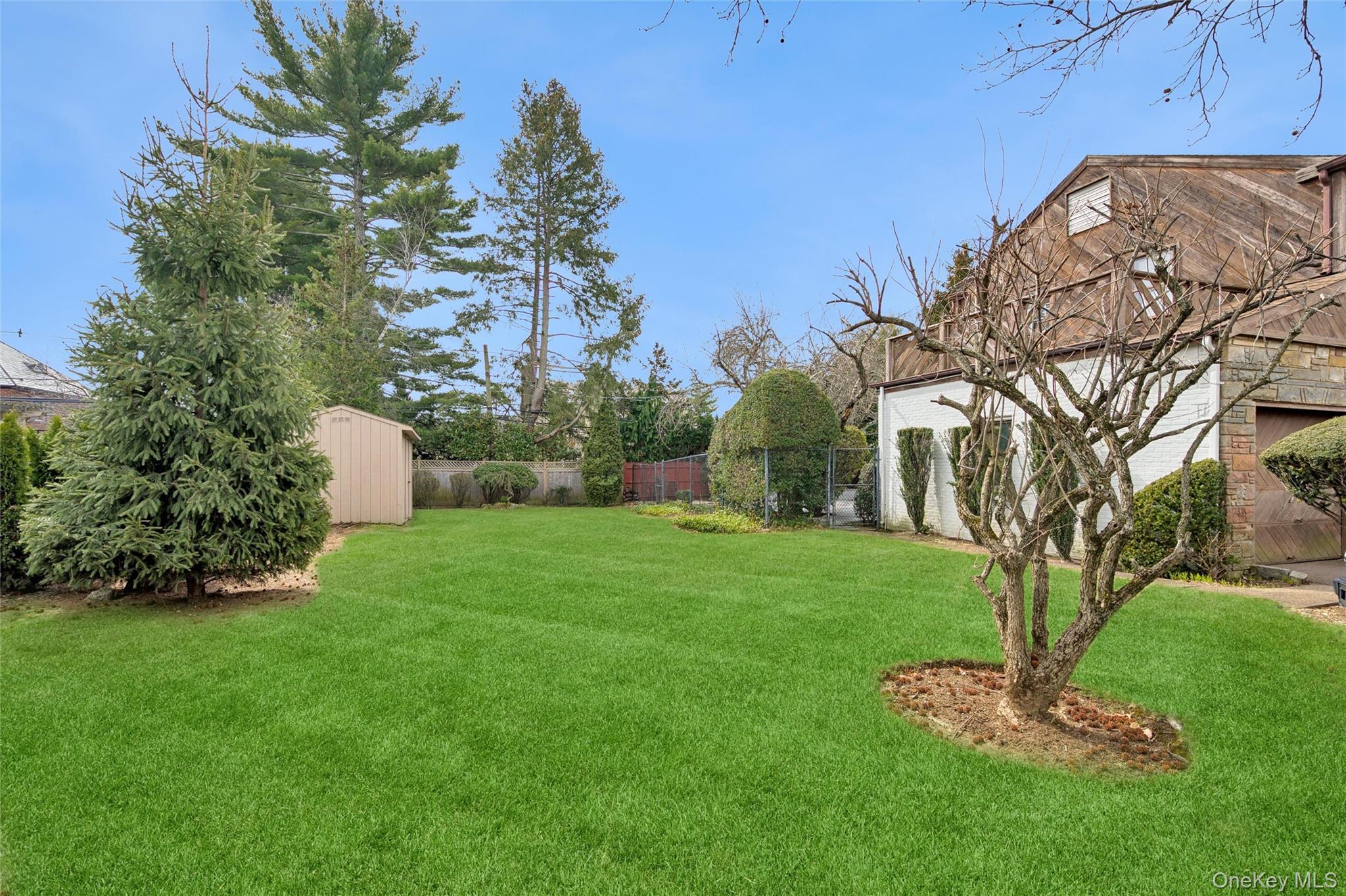 24 Allen Road Rockville Centre, NY 11570 - Photo 37 of 46 a view of a garden with a tree
