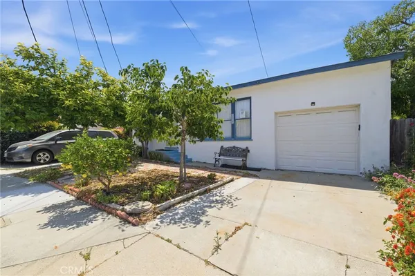 a view of backyard with potted plants