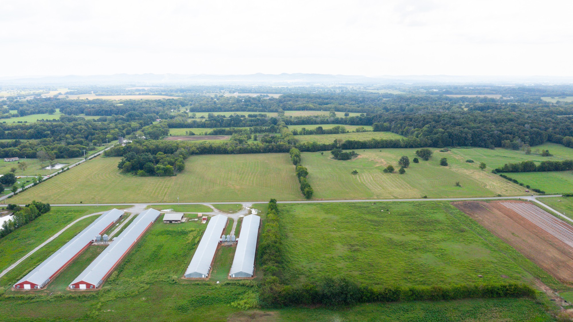 0 Pepper Hill Road Bell Buckle, TN 37020 - Photo 14 of 51