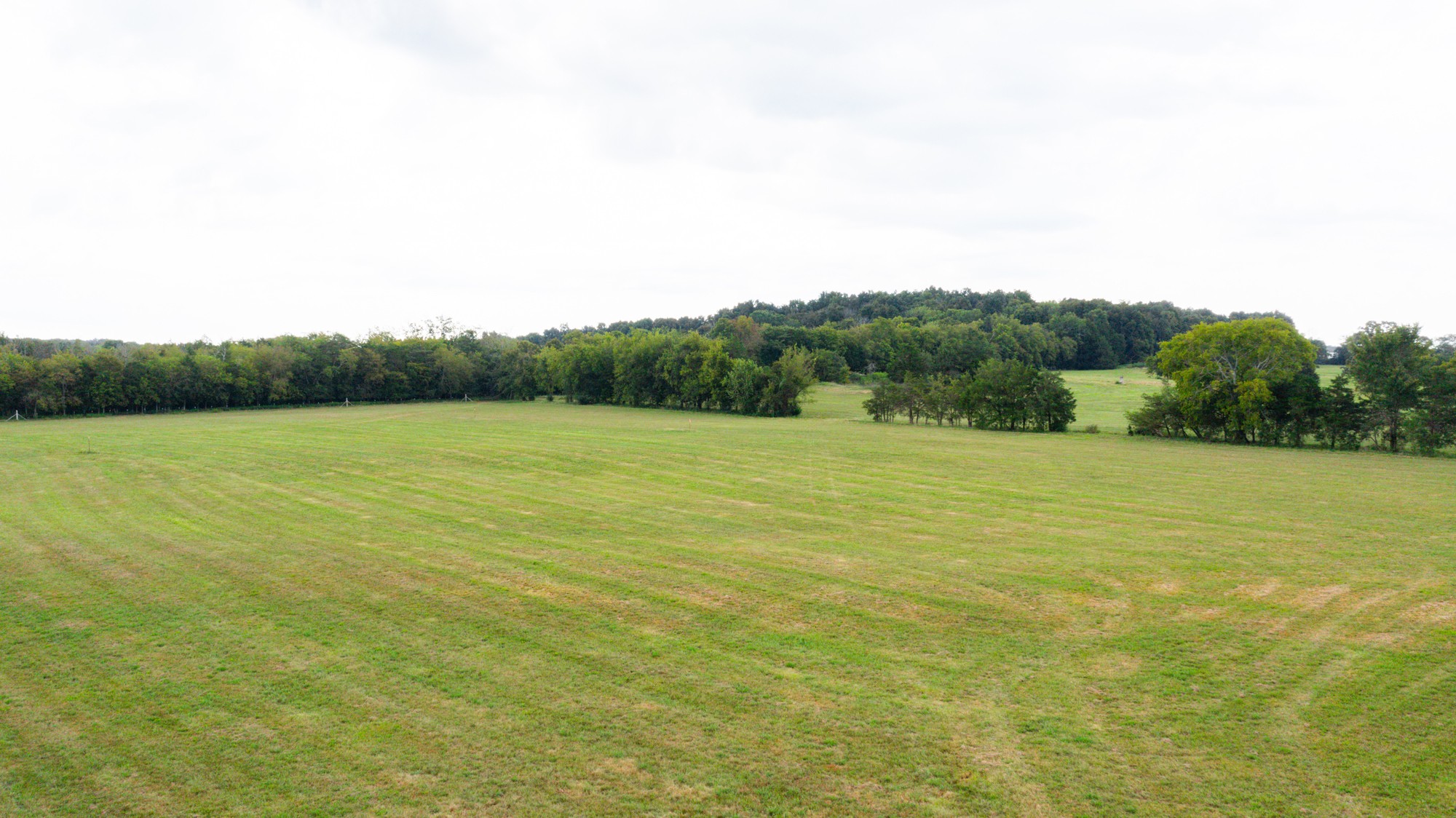0 Pepper Hill Road Bell Buckle, TN 37020 - Photo 15 of 51