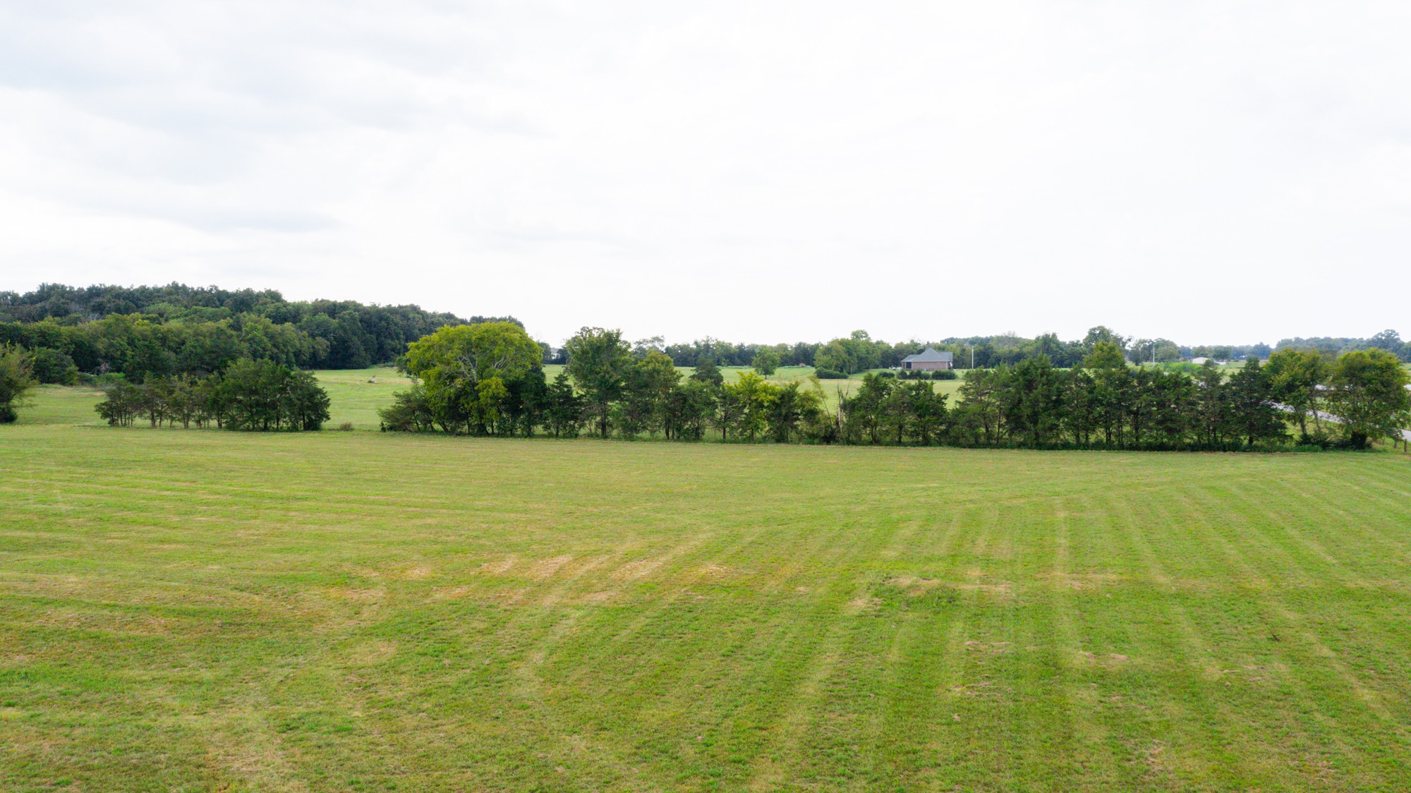 0 Pepper Hill Road Bell Buckle, TN 37020 - Photo 16 of 51