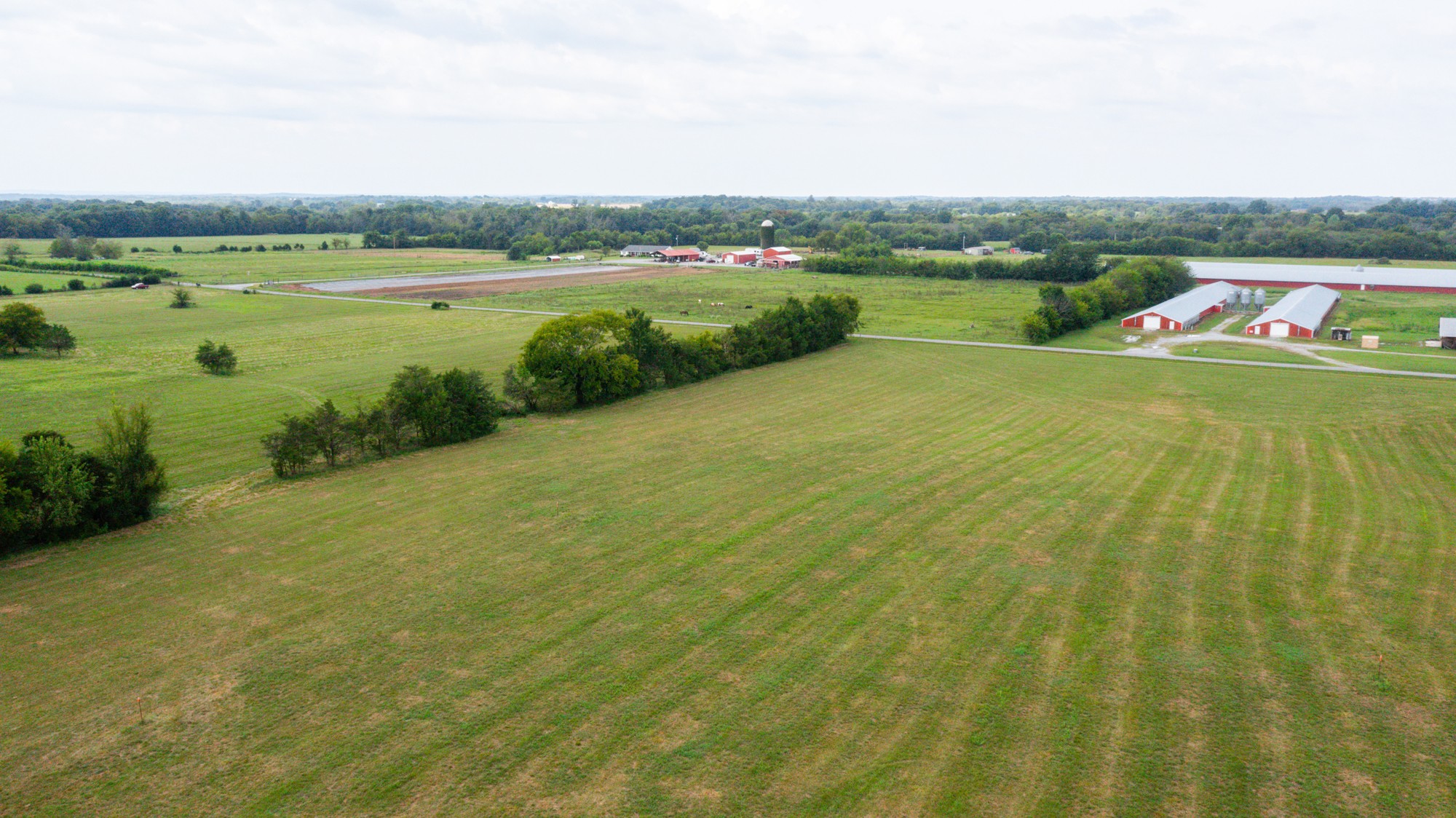 0 Pepper Hill Road Bell Buckle, TN 37020 - Photo 21 of 51