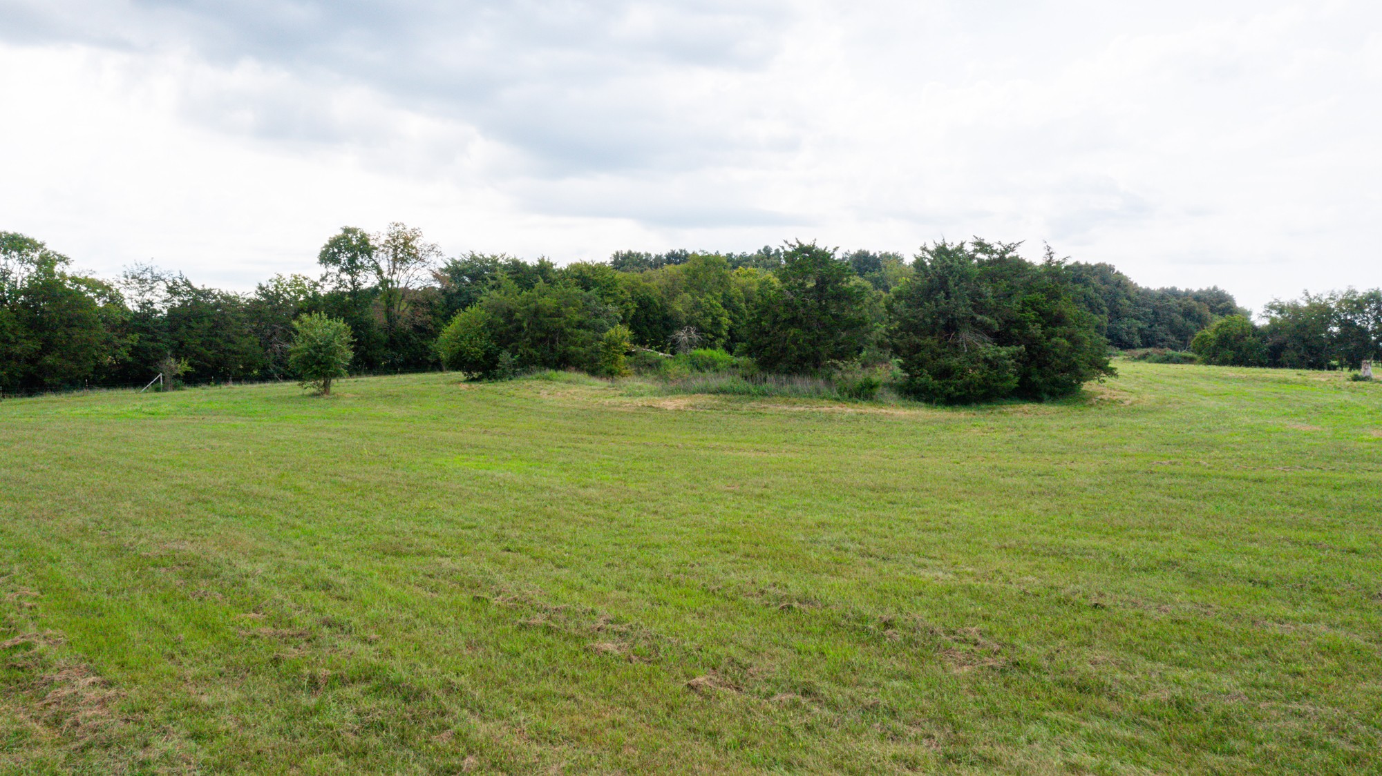 0 Pepper Hill Road Bell Buckle, TN 37020 - Photo 24 of 51