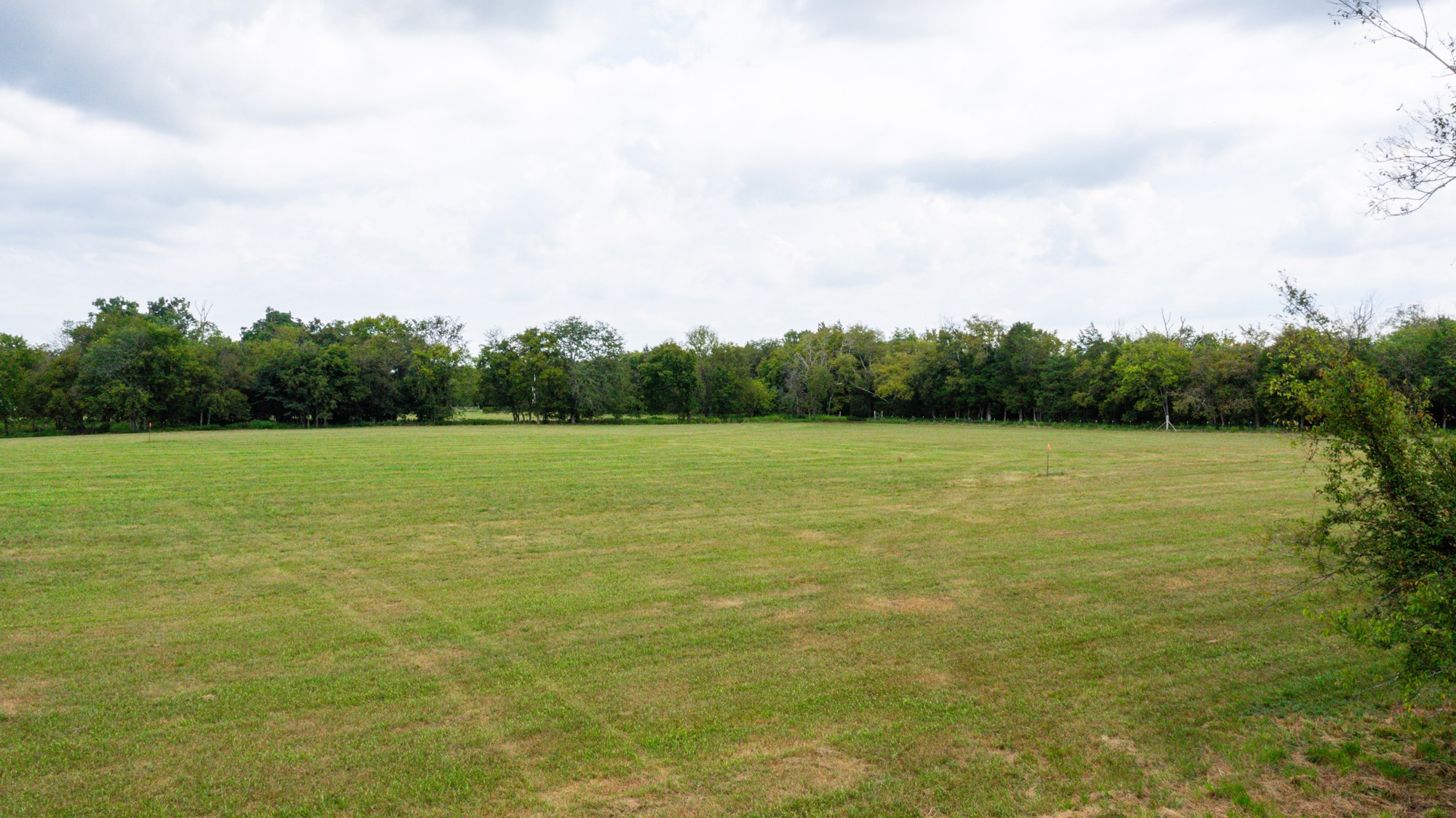 0 Pepper Hill Road Bell Buckle, TN 37020 - Photo 29 of 51