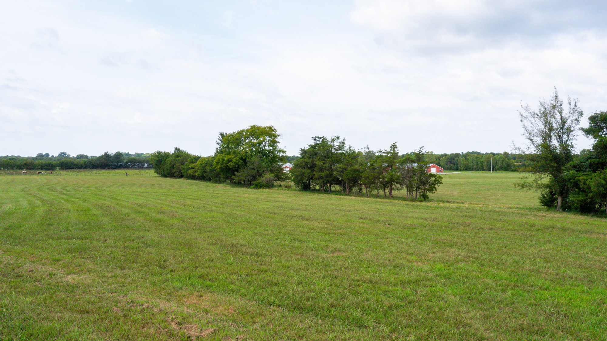 0 Pepper Hill Road Bell Buckle, TN 37020 - Photo 30 of 51