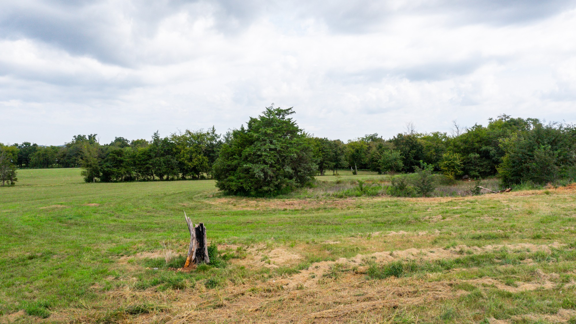0 Pepper Hill Road Bell Buckle, TN 37020 - Photo 34 of 51