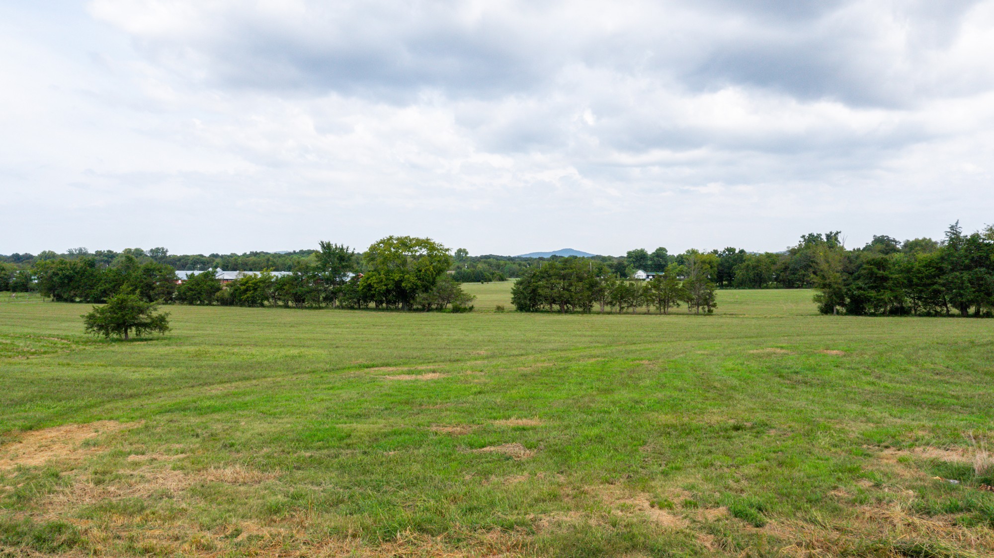 0 Pepper Hill Road Bell Buckle, TN 37020 - Photo 35 of 51