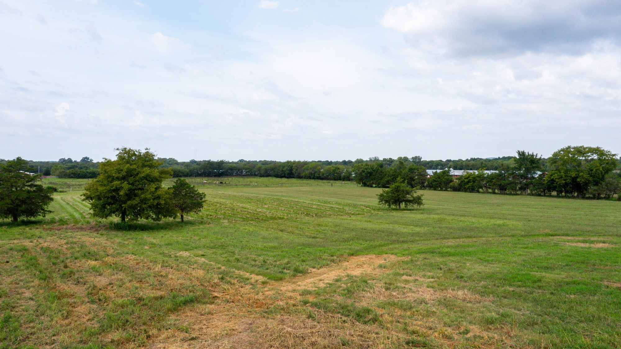 0 Pepper Hill Road Bell Buckle, TN 37020 - Photo 36 of 51