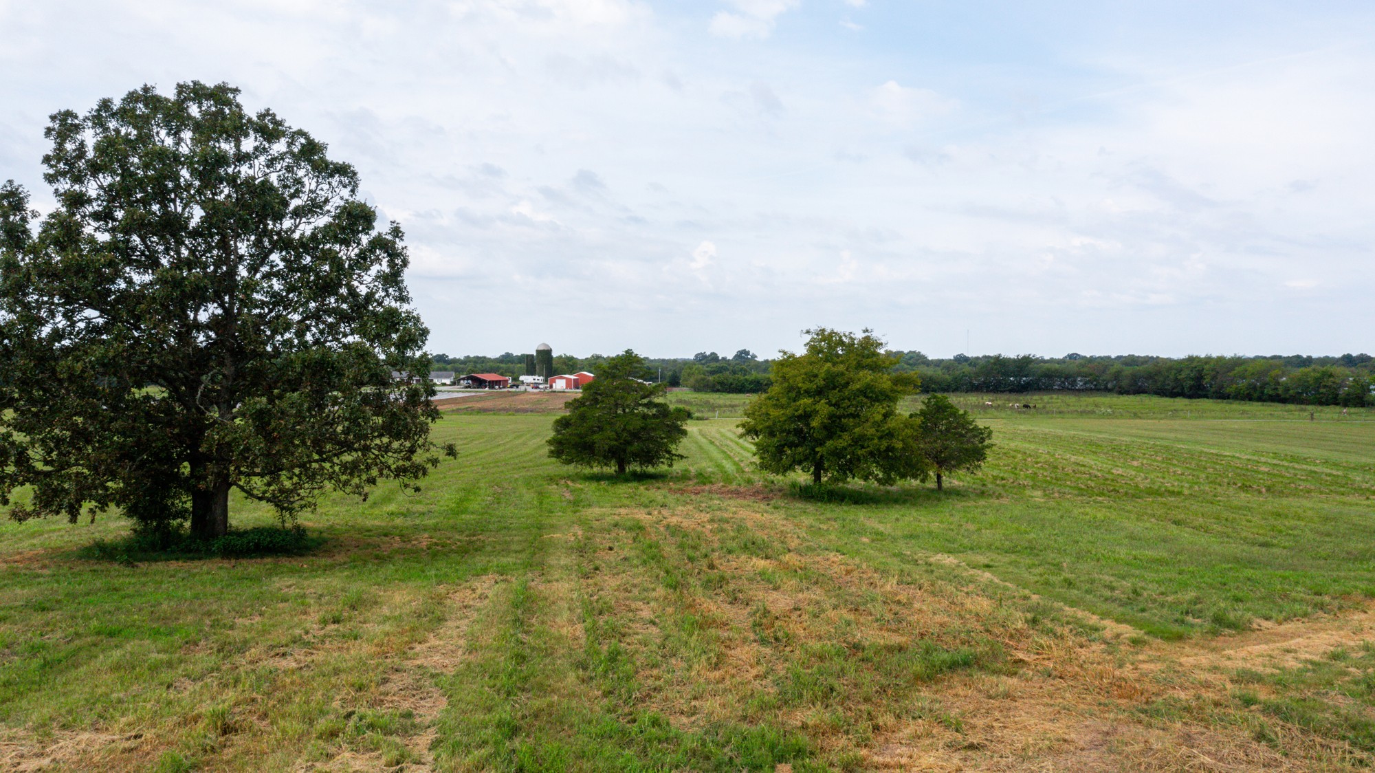 0 Pepper Hill Road Bell Buckle, TN 37020 - Photo 37 of 51