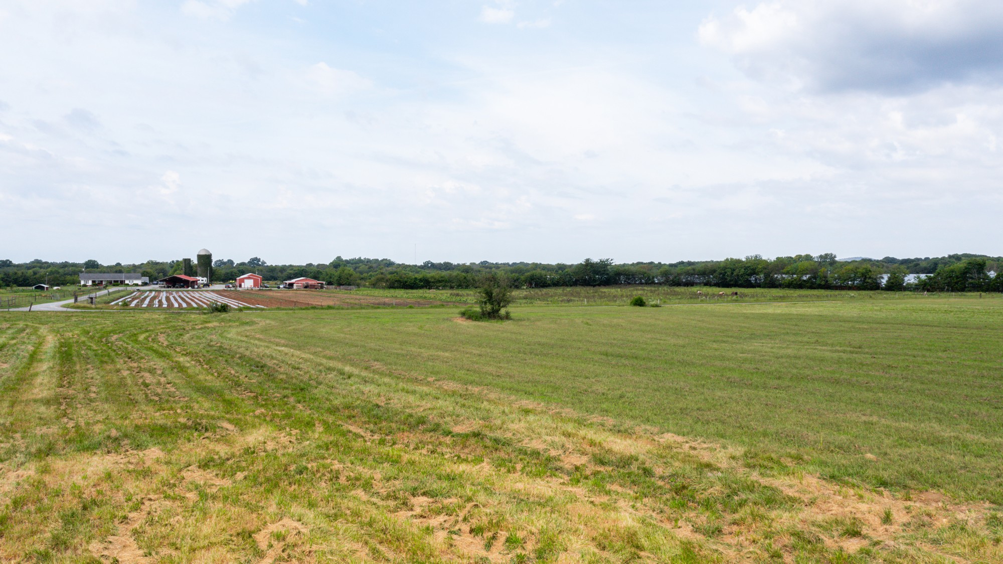 0 Pepper Hill Road Bell Buckle, TN 37020 - Photo 38 of 51