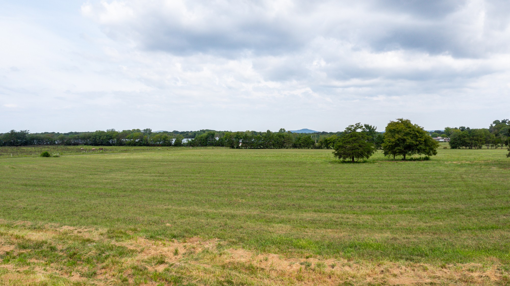 0 Pepper Hill Road Bell Buckle, TN 37020 - Photo 39 of 51