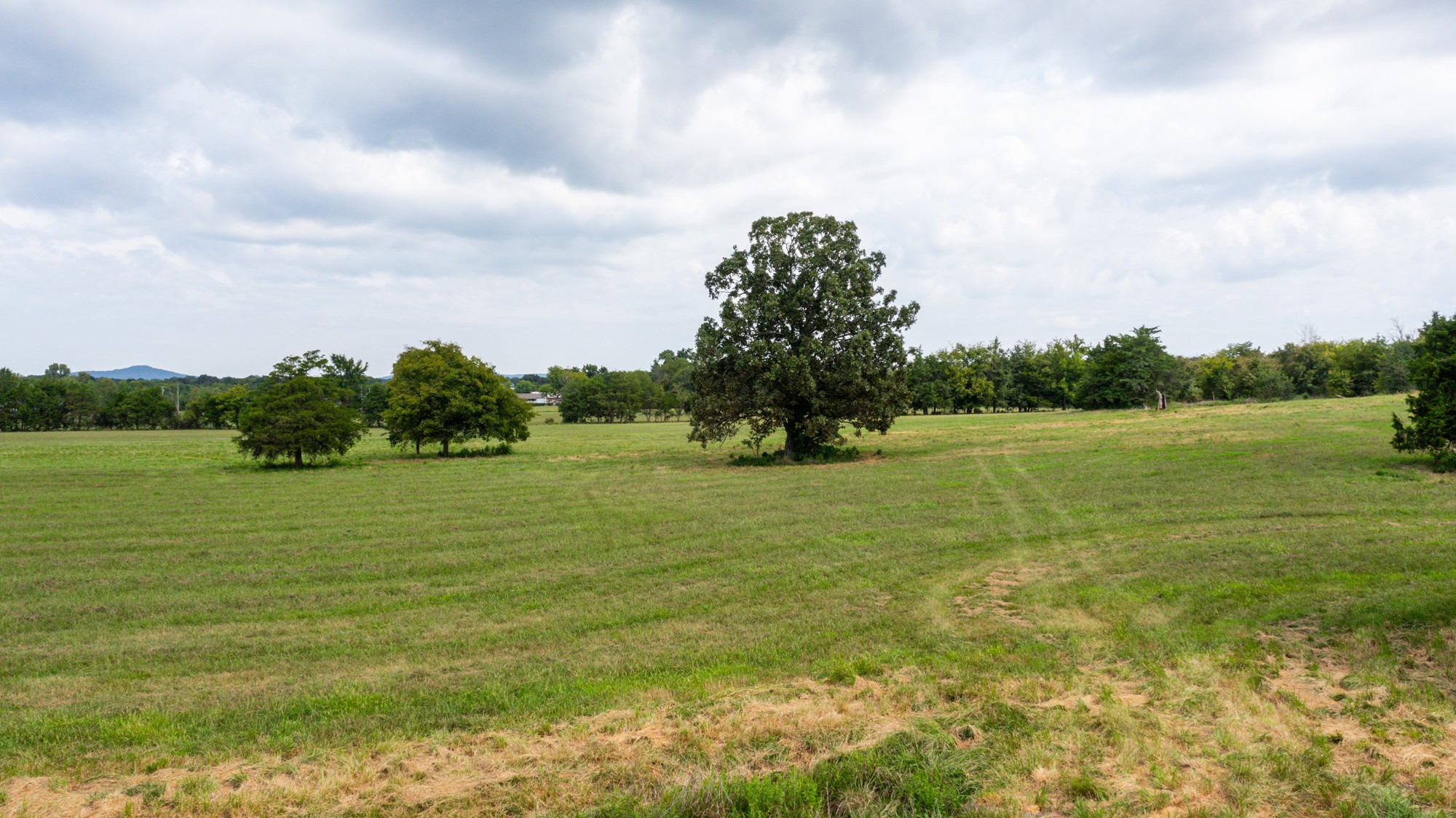 0 Pepper Hill Road Bell Buckle, TN 37020 - Photo 40 of 51
