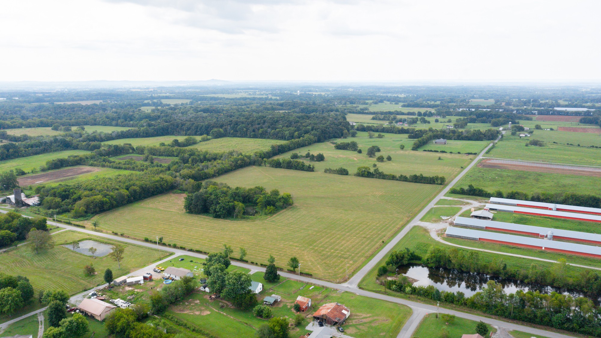 0 Pepper Hill Road Bell Buckle, TN 37020 - Photo 4 of 51