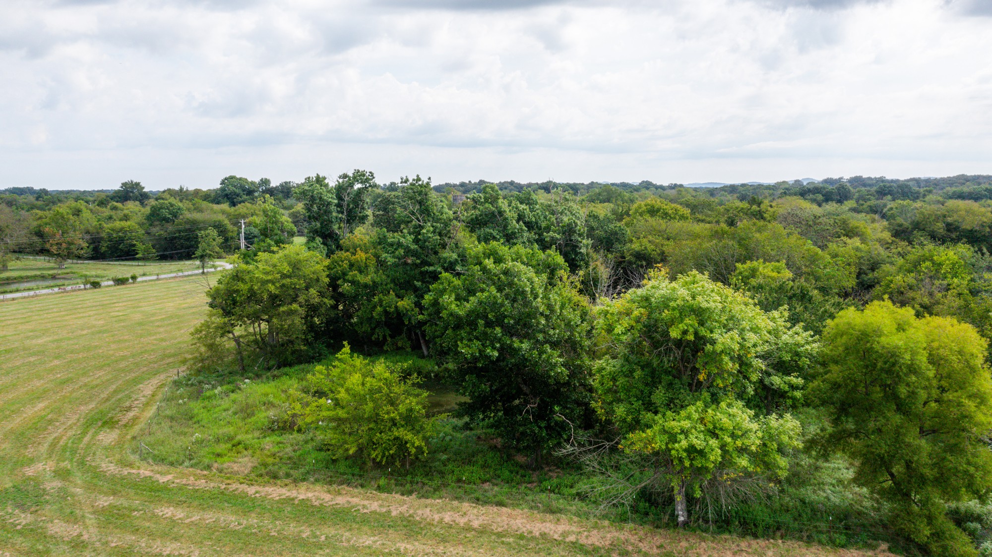 0 Pepper Hill Road Bell Buckle, TN 37020 - Photo 49 of 51