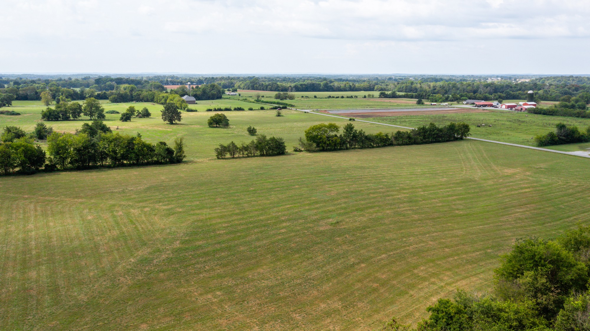 0 Pepper Hill Road Bell Buckle, TN 37020 - Photo 5 of 51