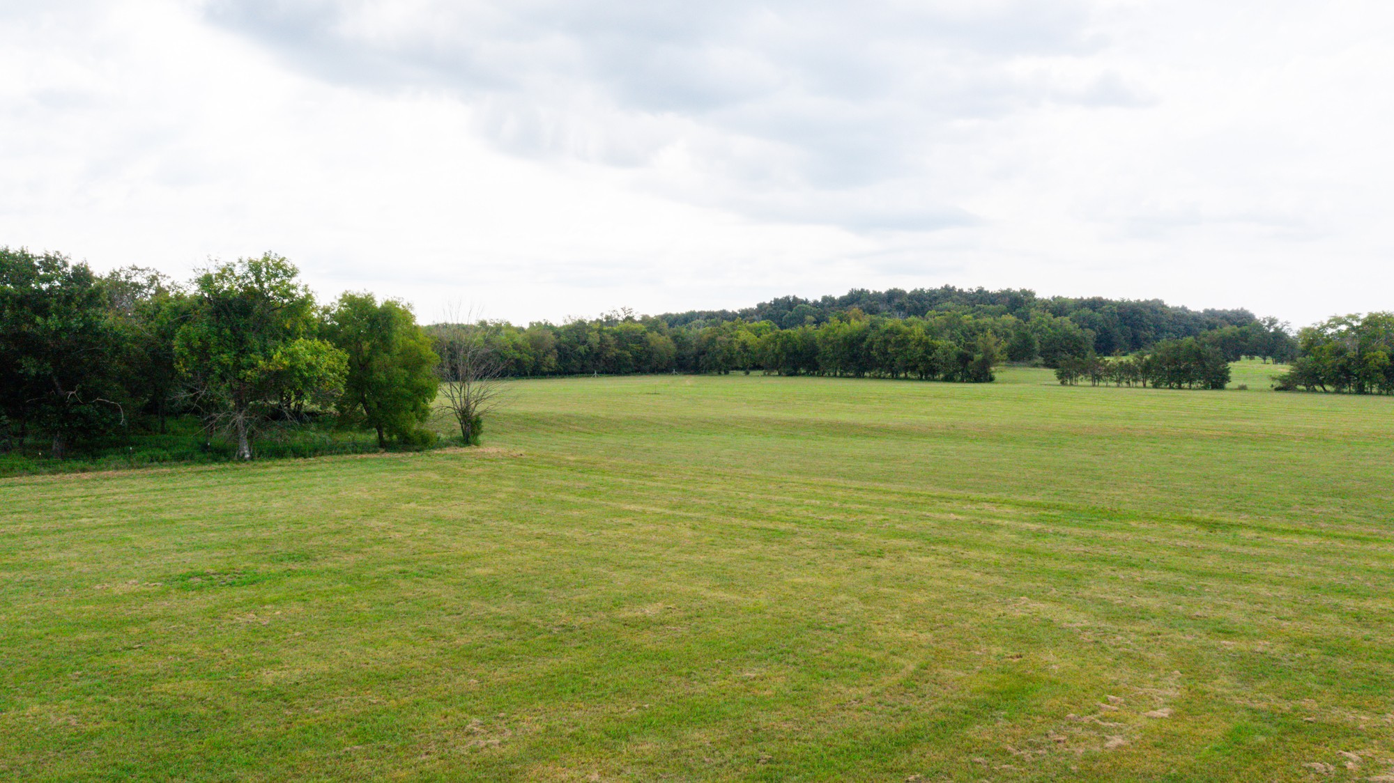 0 Pepper Hill Road Bell Buckle, TN 37020 - Photo 6 of 51