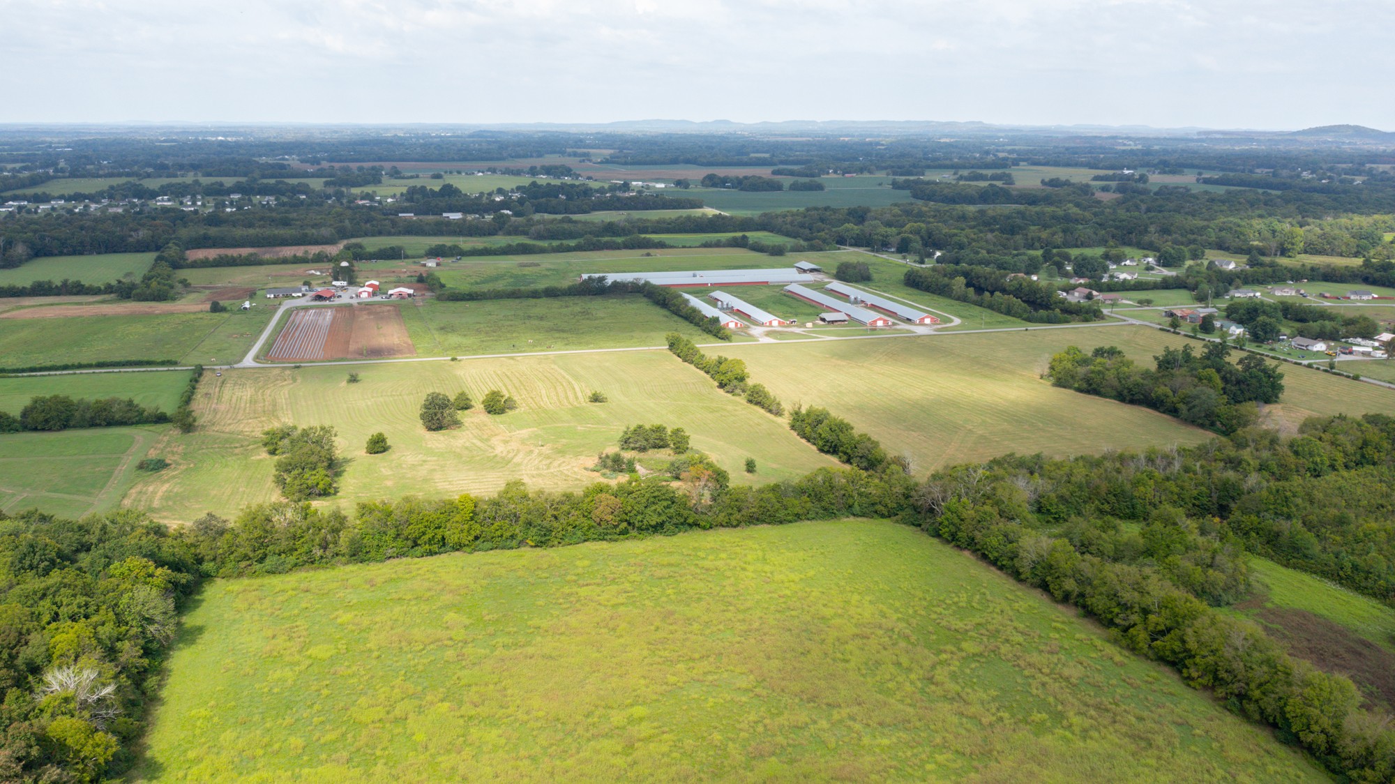 0 Pepper Hill Road Bell Buckle, TN 37020 - Photo 9 of 51