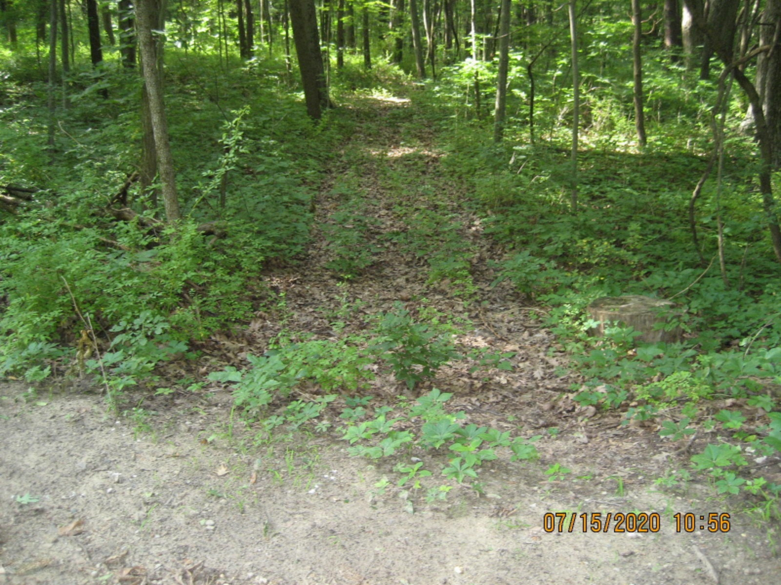 1 Rose Road Delton, MI 49046 - Photo 16 of 35 Rose Rd_078