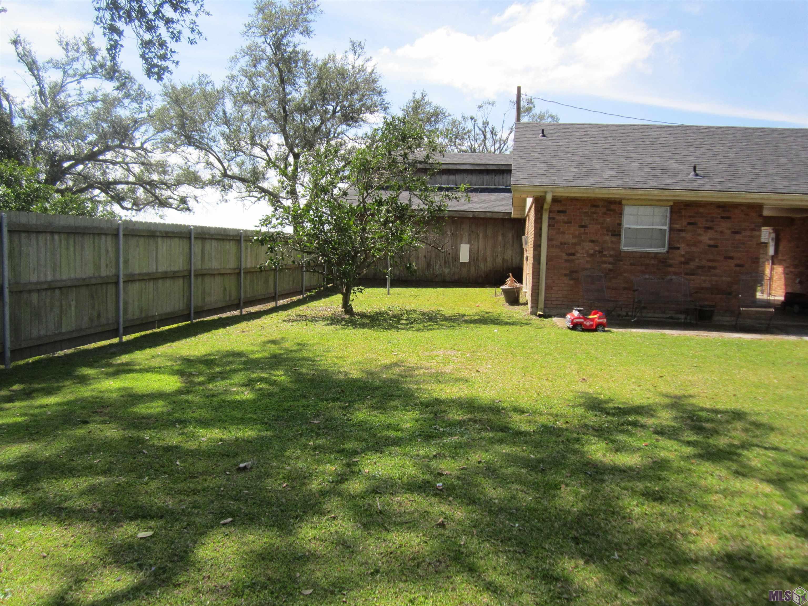 Back yard