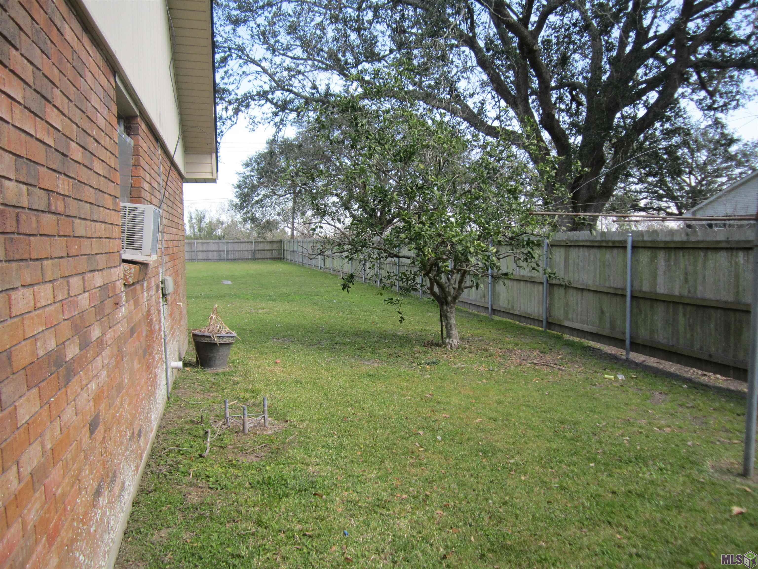 Back yard