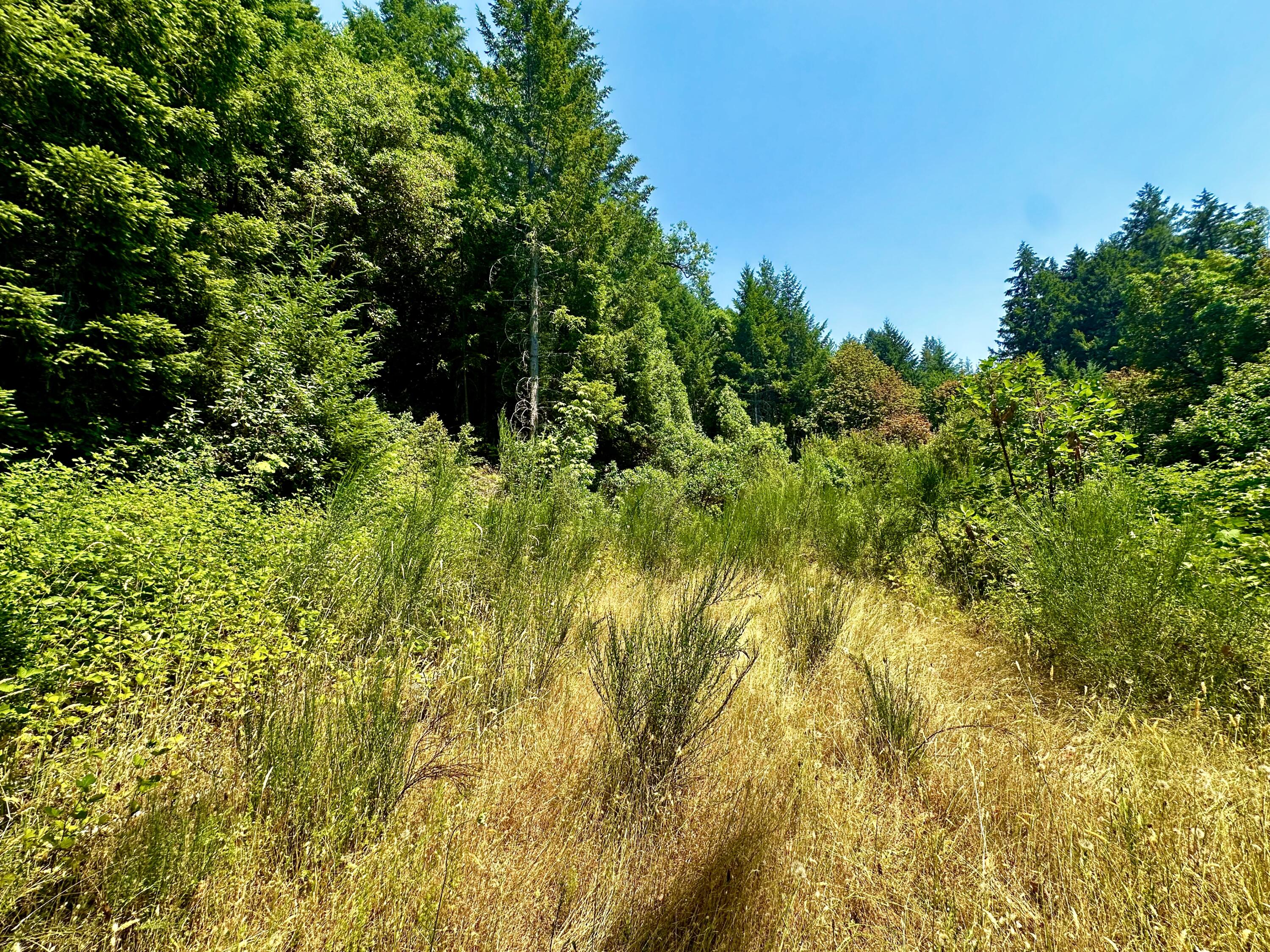 0 French Camp Road Hoopa, CA 95546 - Photo 3 of 8