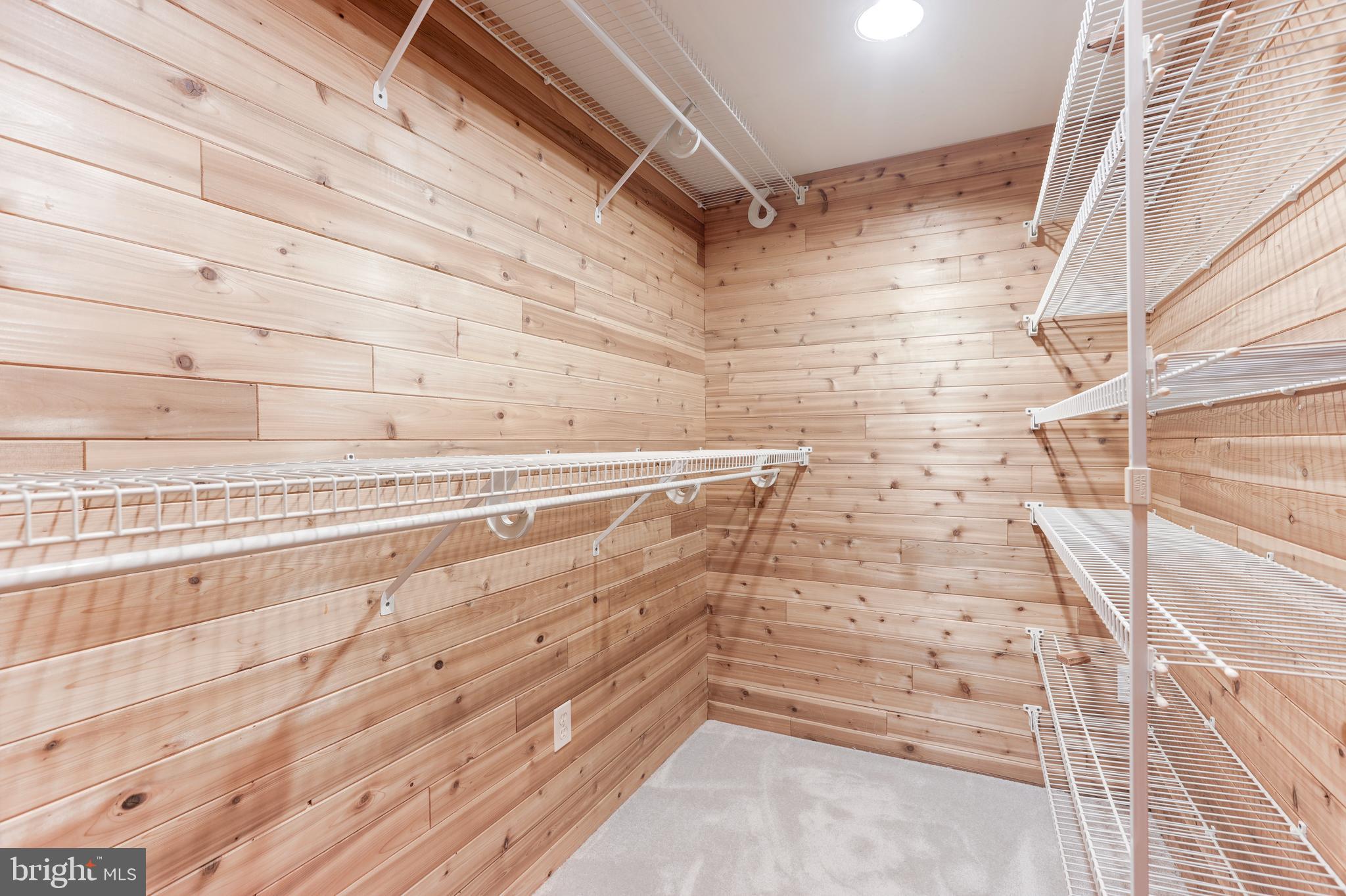 11220 Popes Head Road Fairfax, VA 22030 - Photo 32 of 49 Lower Level Cedar Closet