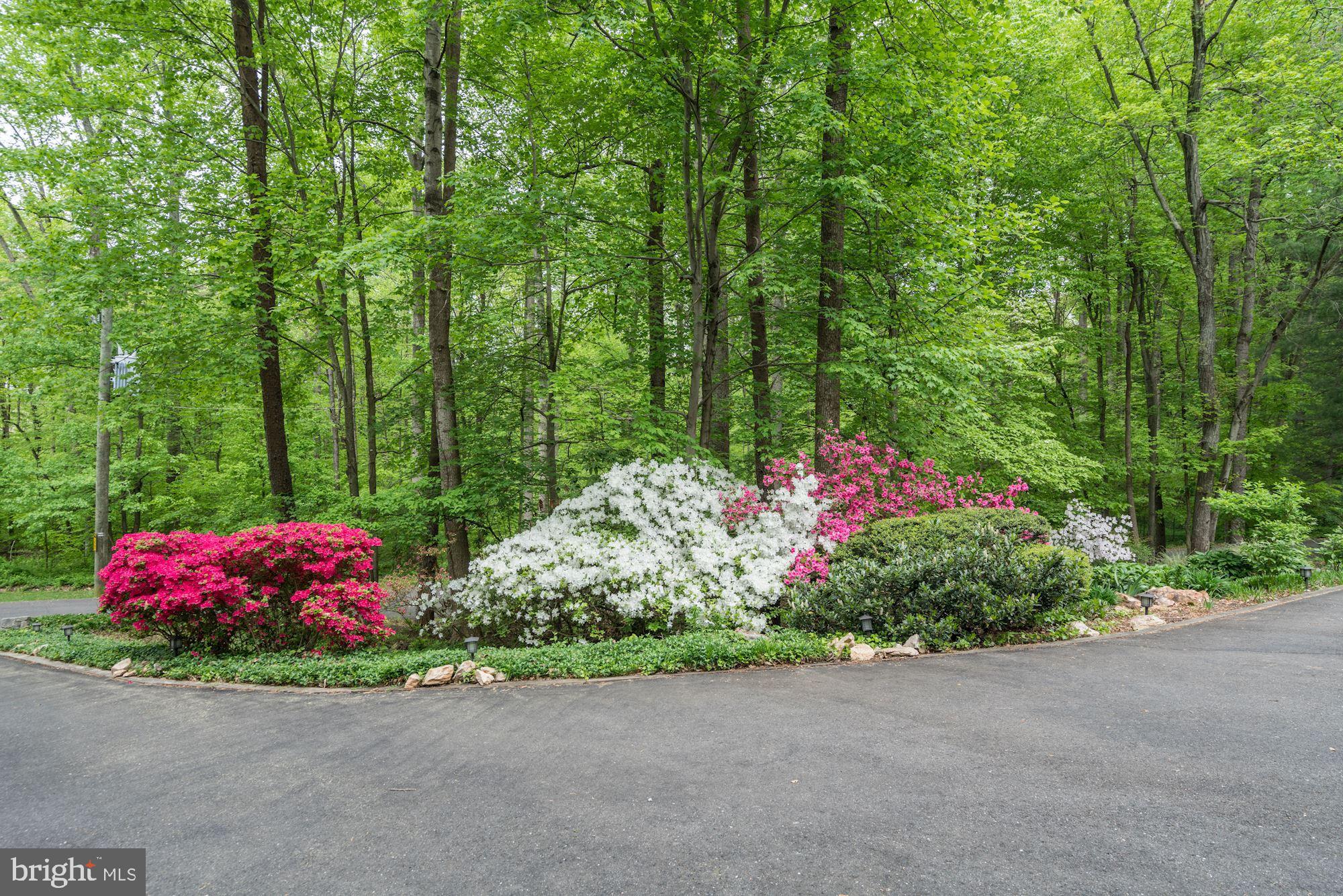 11220 Popes Head Road Fairfax, VA 22030 - Photo 38 of 49 Beautiful Oasis