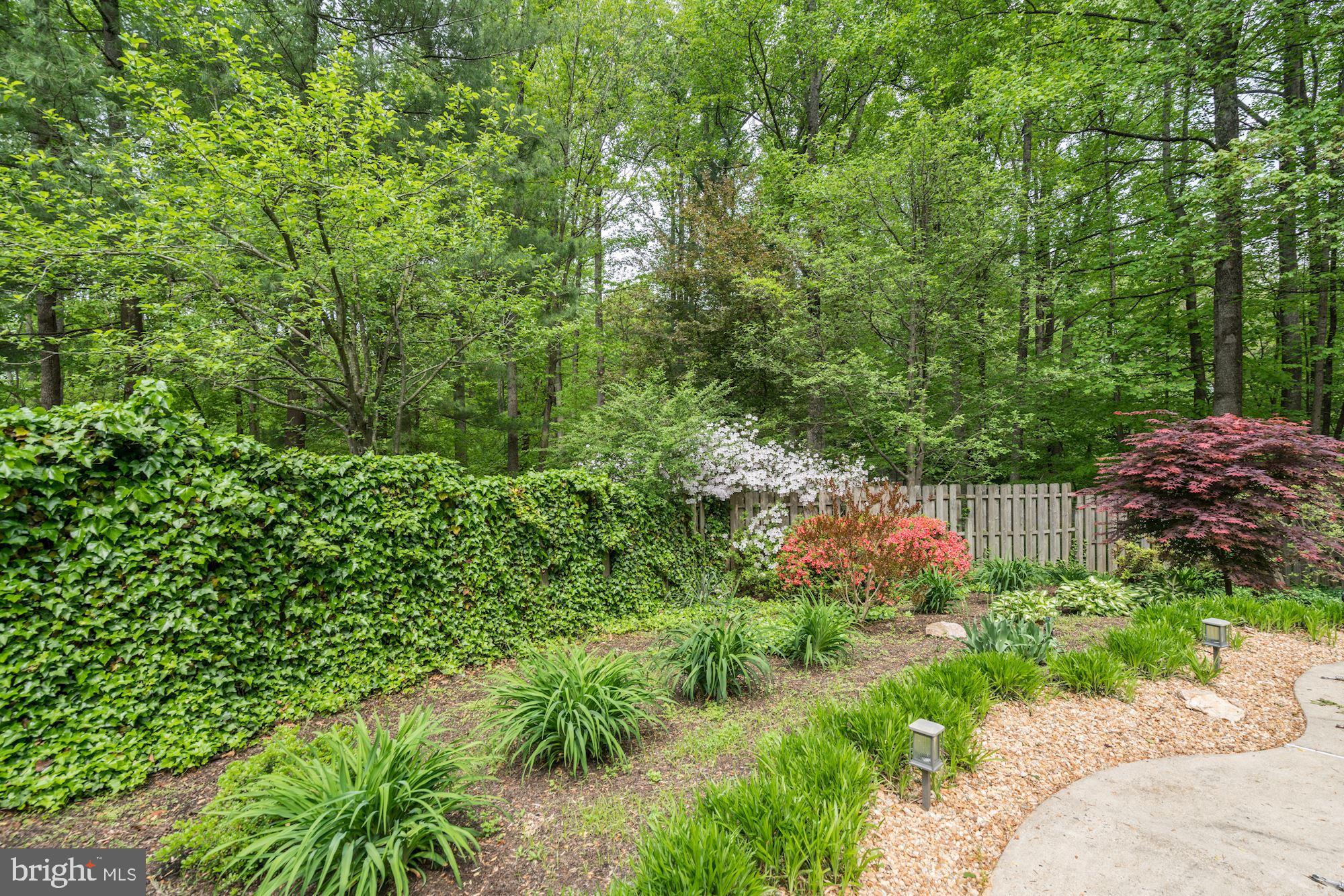 11220 Popes Head Road Fairfax, VA 22030 - Photo 39 of 49 Plush Greenery