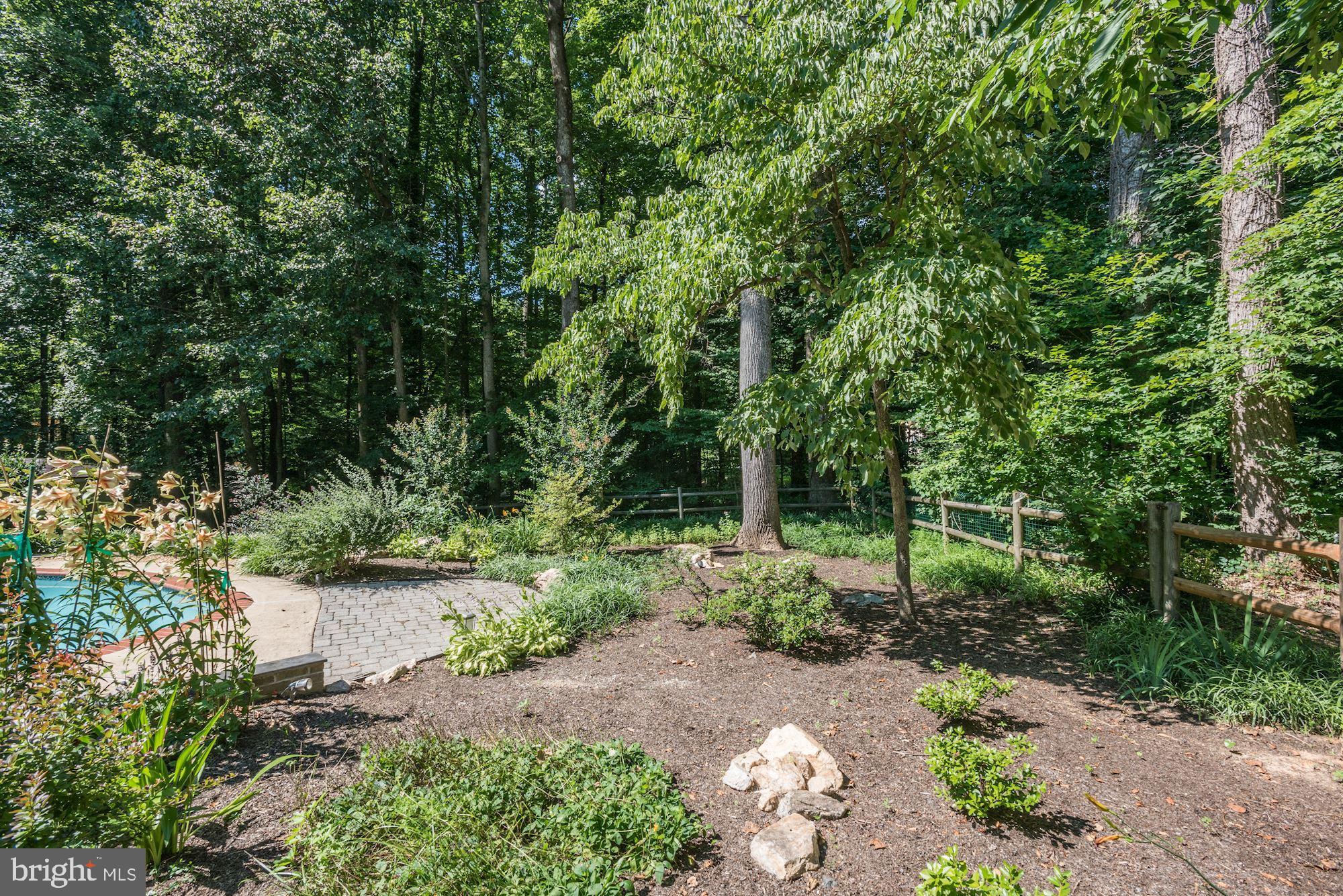 11220 Popes Head Road Fairfax, VA 22030 - Photo 48 of 49 Landscaped Back Yard