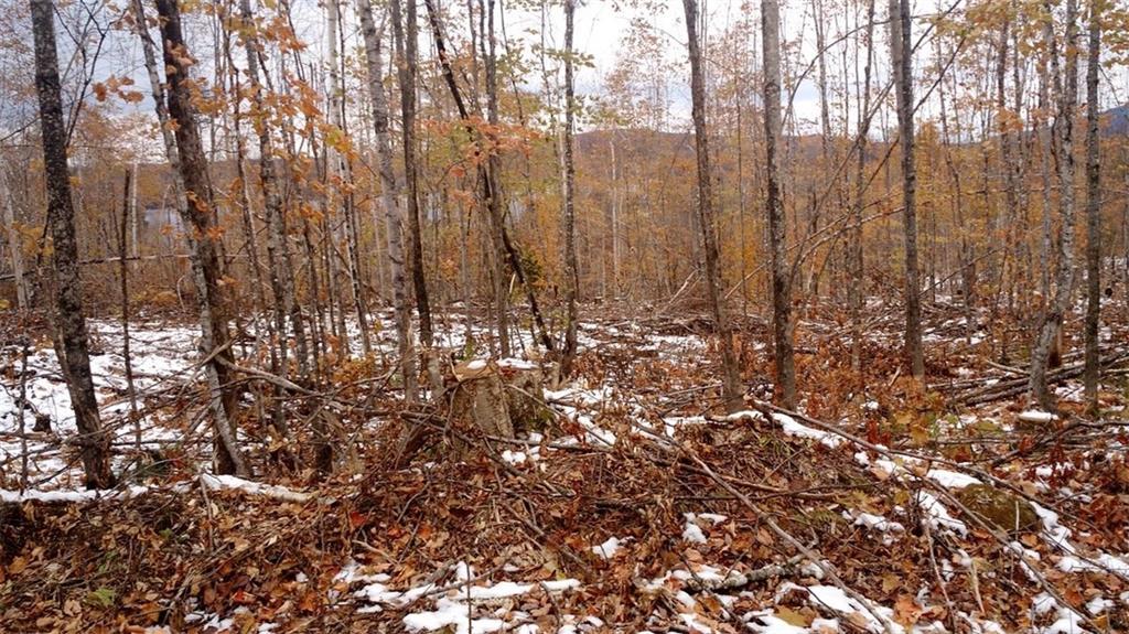 Lot 16 West Off Ackley Pond Rd Mount Mount Chase, ME 04765 - Photo 4 of 8 Photo