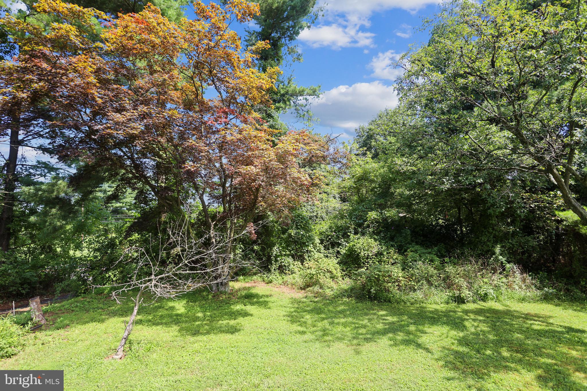 114 Norwood Road Silver Spring, MD 20905 - Photo 70 of 72