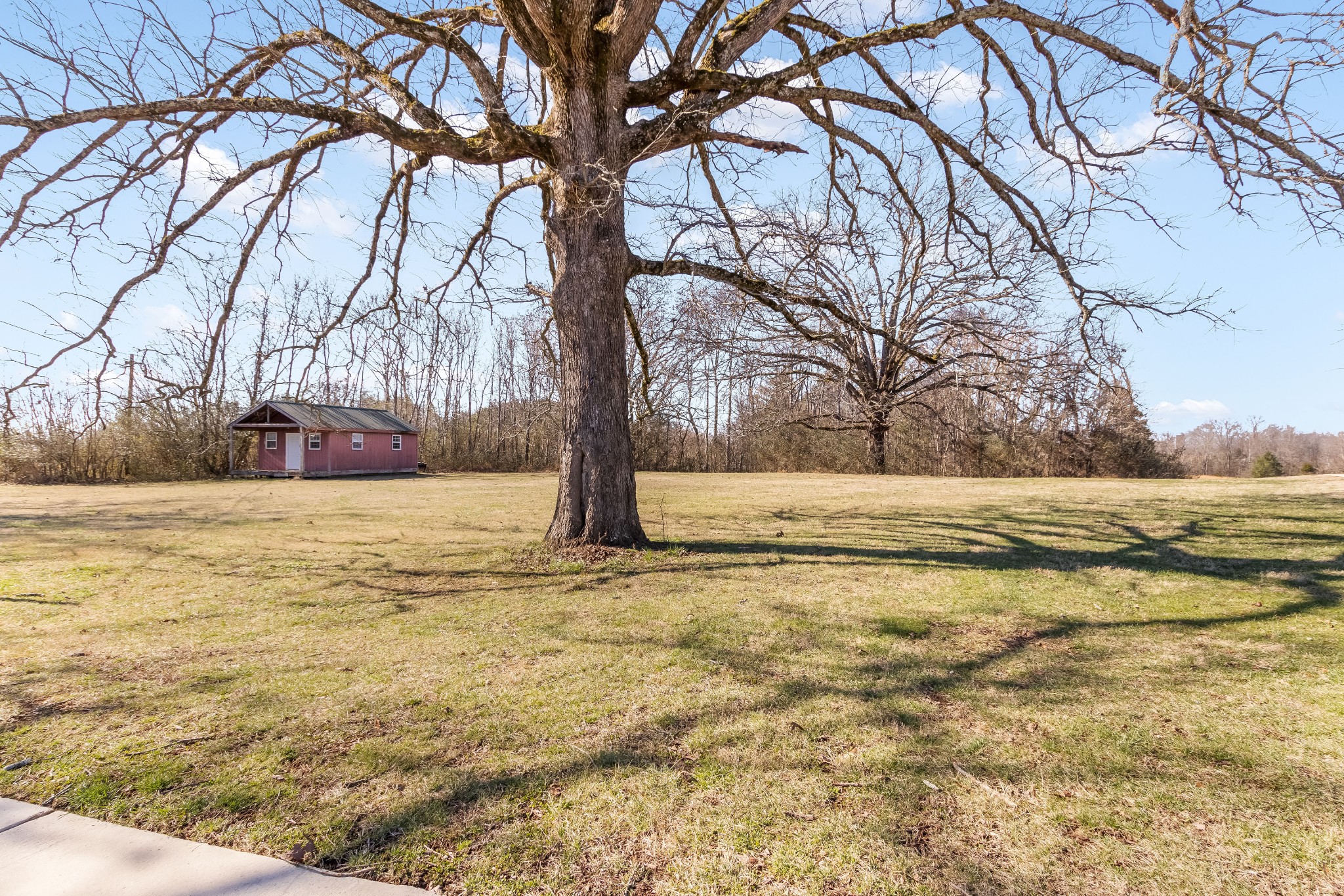 555 Randall Hitchcock Road Rock Island, TN 38581 - Photo 80 of 86 a view of yard covered with snow in front of house