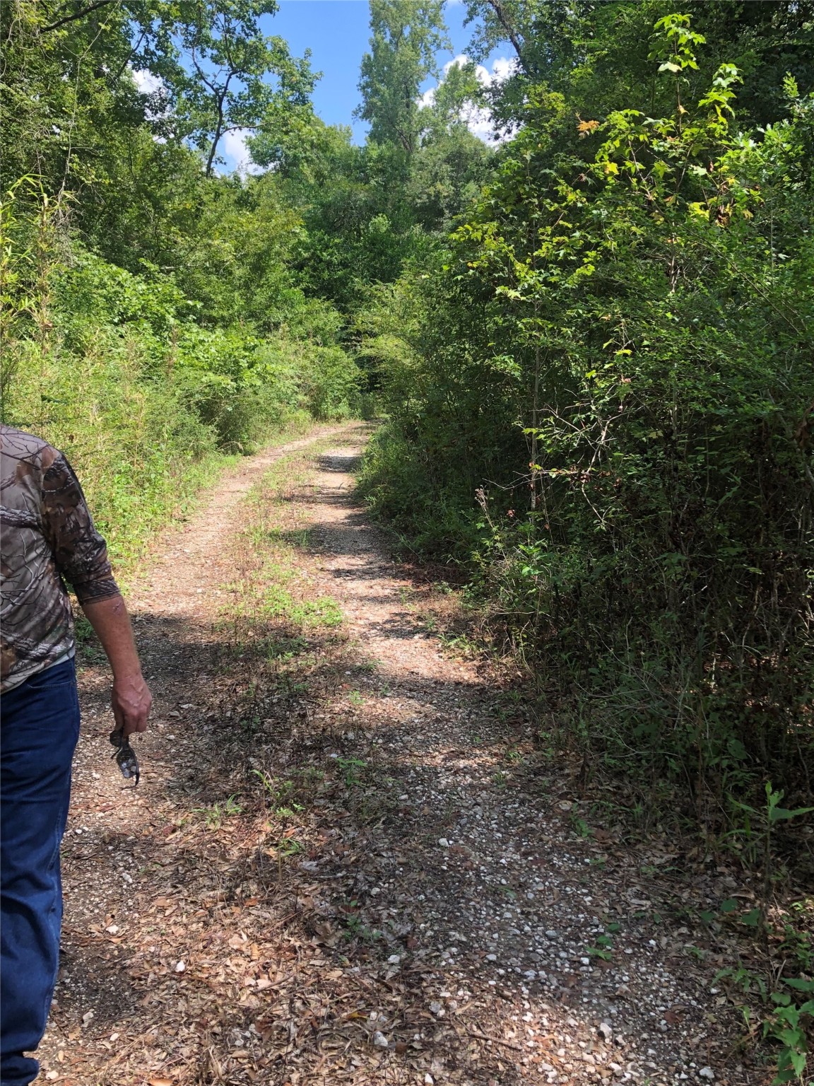 02 Tbd Block Conroe, TX 77302 - Photo 3 of 8 a view of a yard with plants and large trees