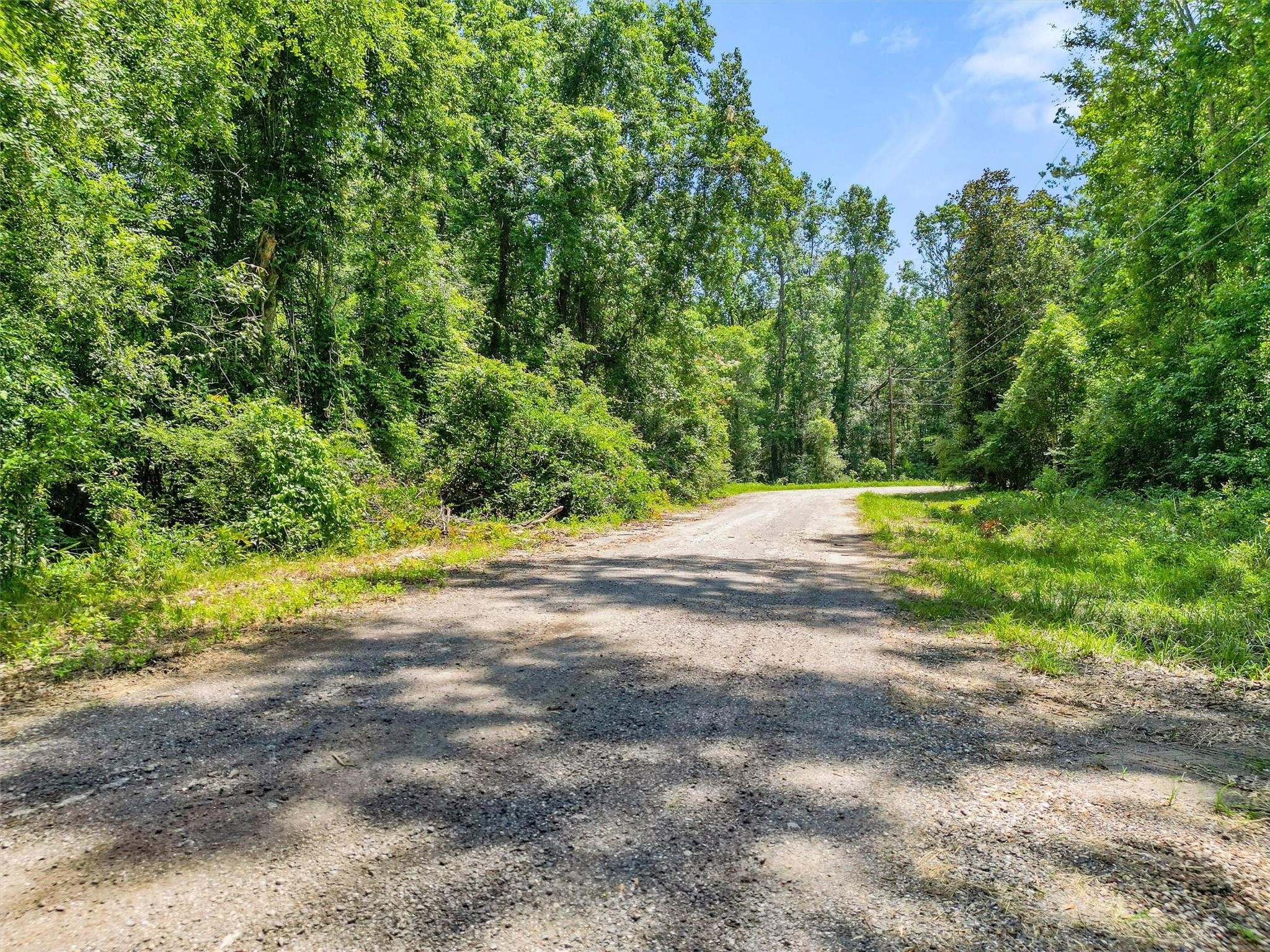 02 Tbd Block Conroe, TX 77302 - Photo 4 of 8 a view of yard with green space