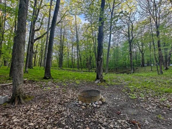 $19,400 | 5899 Elm Run, Farwell, MI 48622