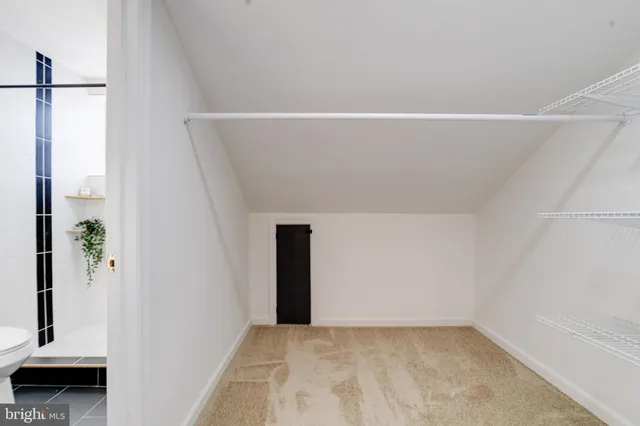 a view of a livingroom with furniture and a potted plant