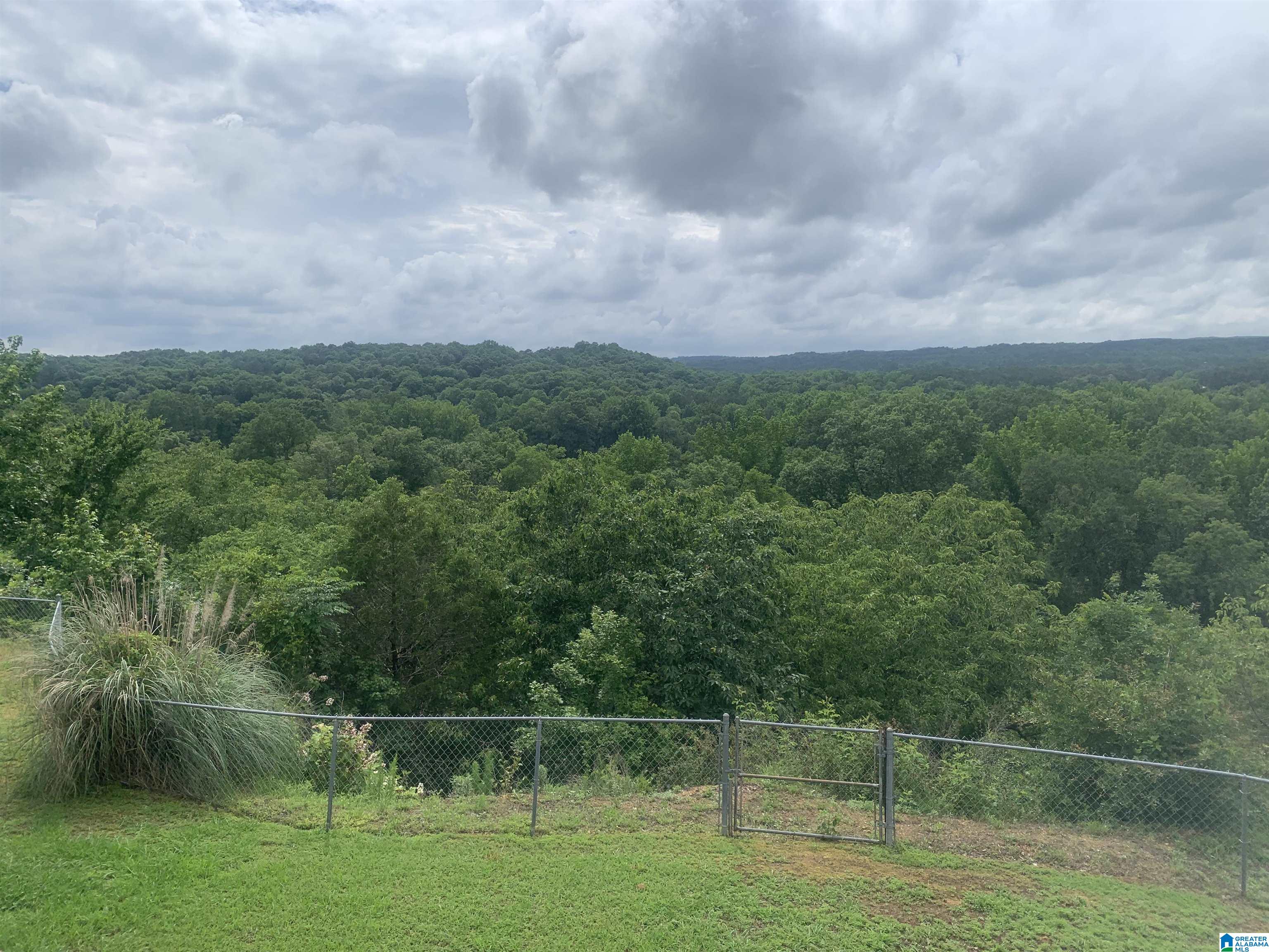 554 River Ridge Road Cleveland, AL 35049 - Photo 66 of 68
