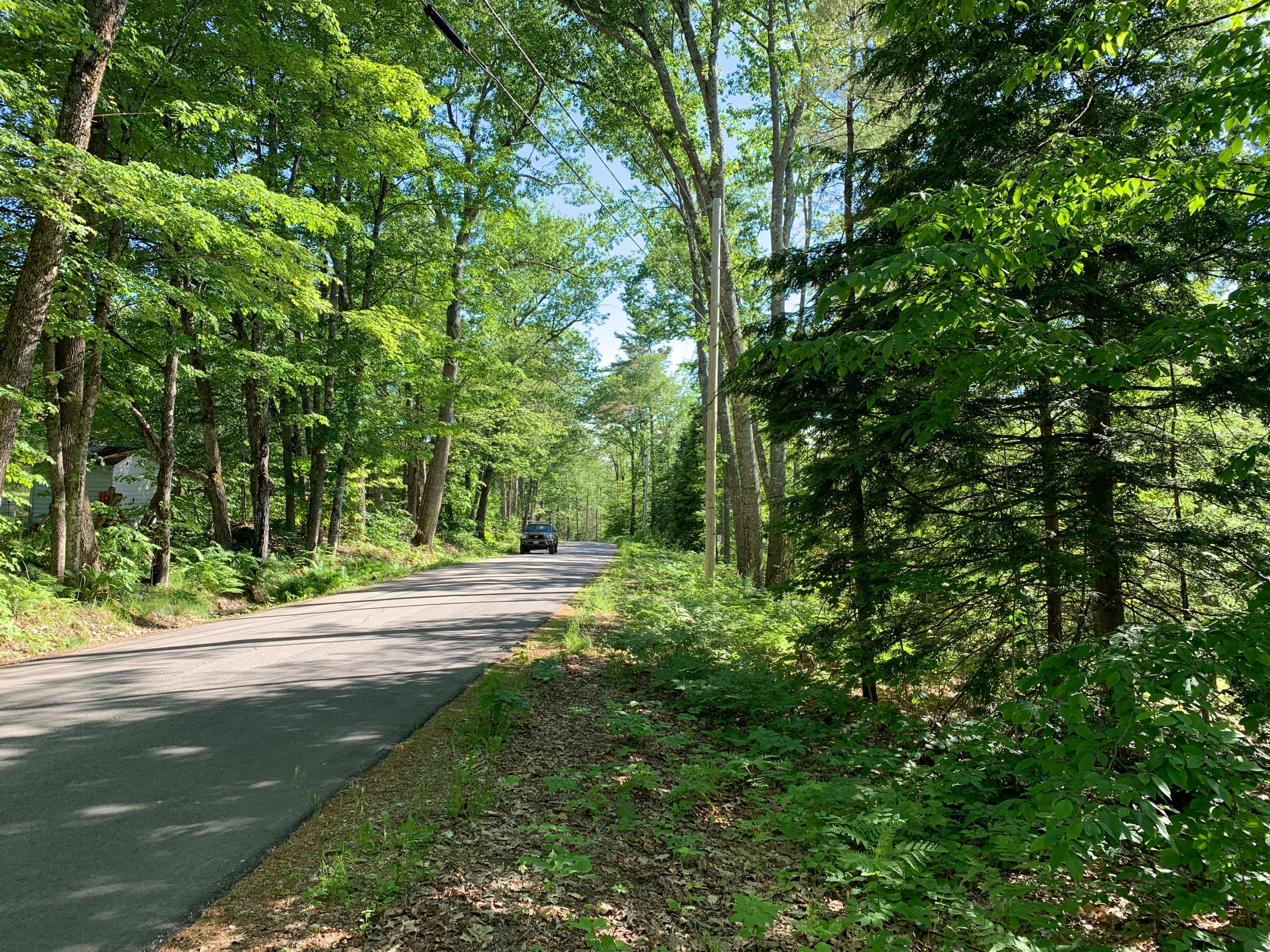 Lot 4 Green Road Waterford, ME 04088 - Photo 2 of 3 IMG_0702