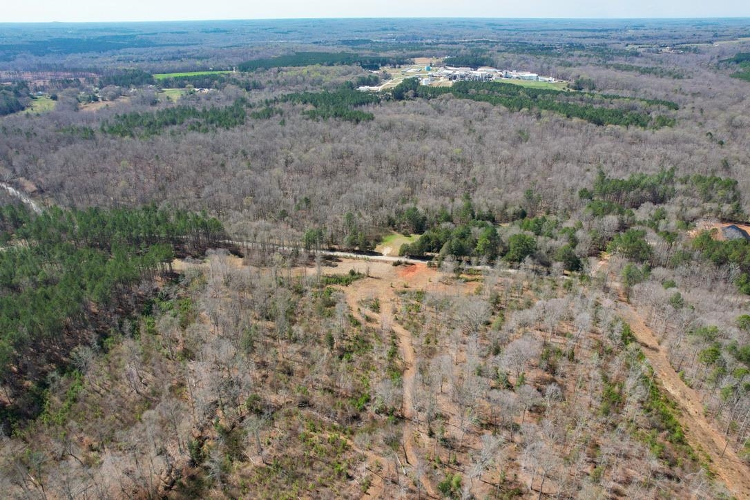 0 Mountain Shoals Road Enoree, SC 29335 - Photo 11 of 43